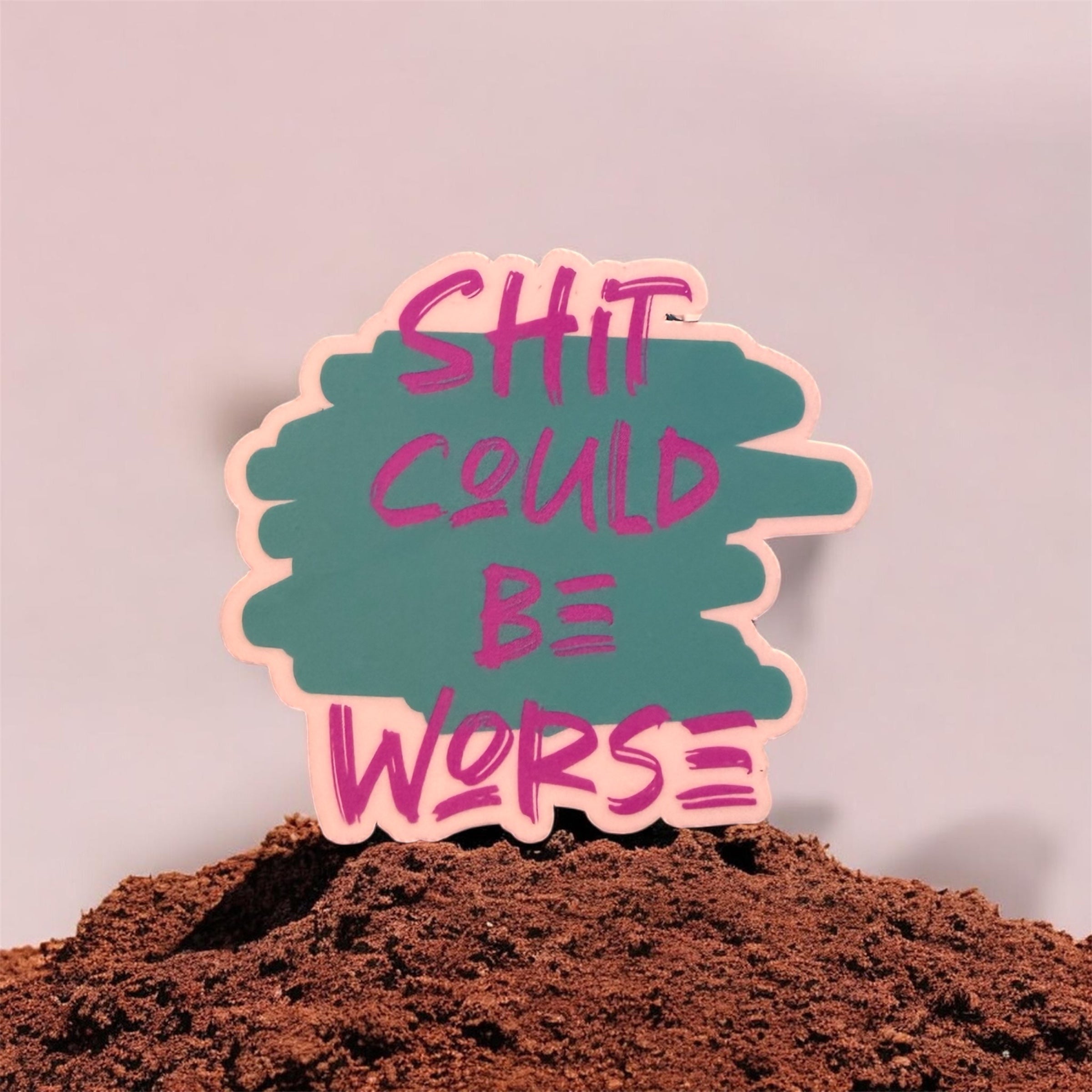 Shit Could Be Worse Sticker